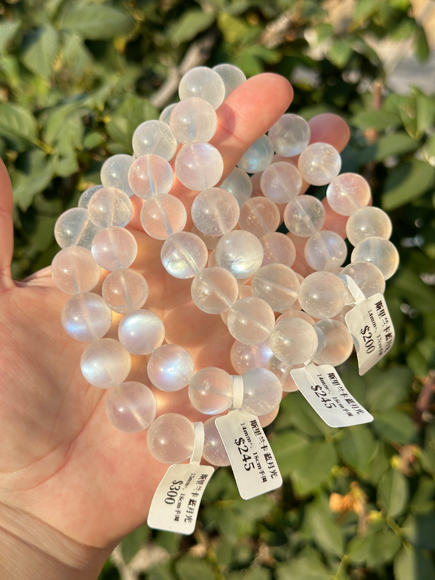Sri Lankan Blue Moonstone