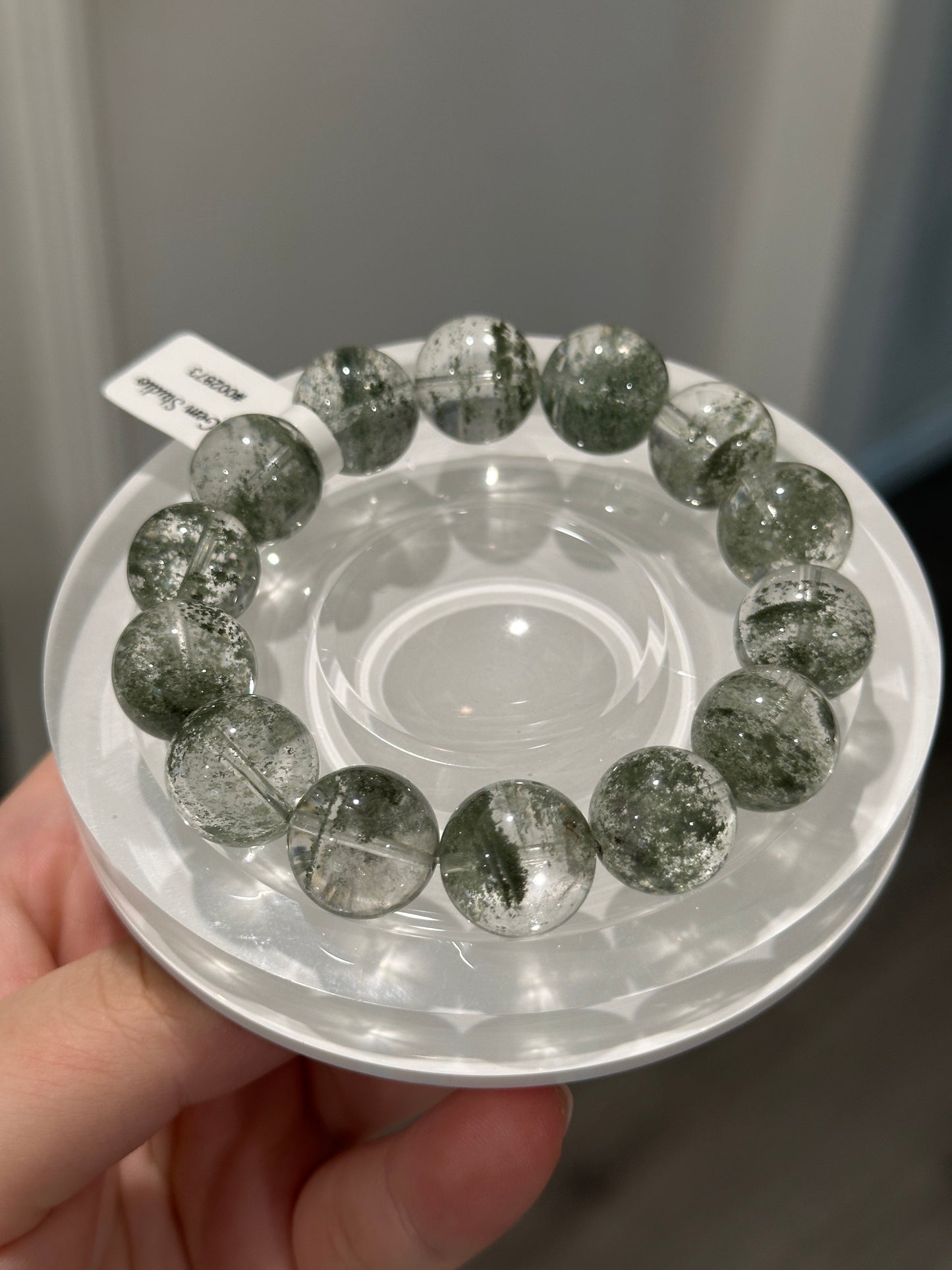 净体金沙绿幽灵