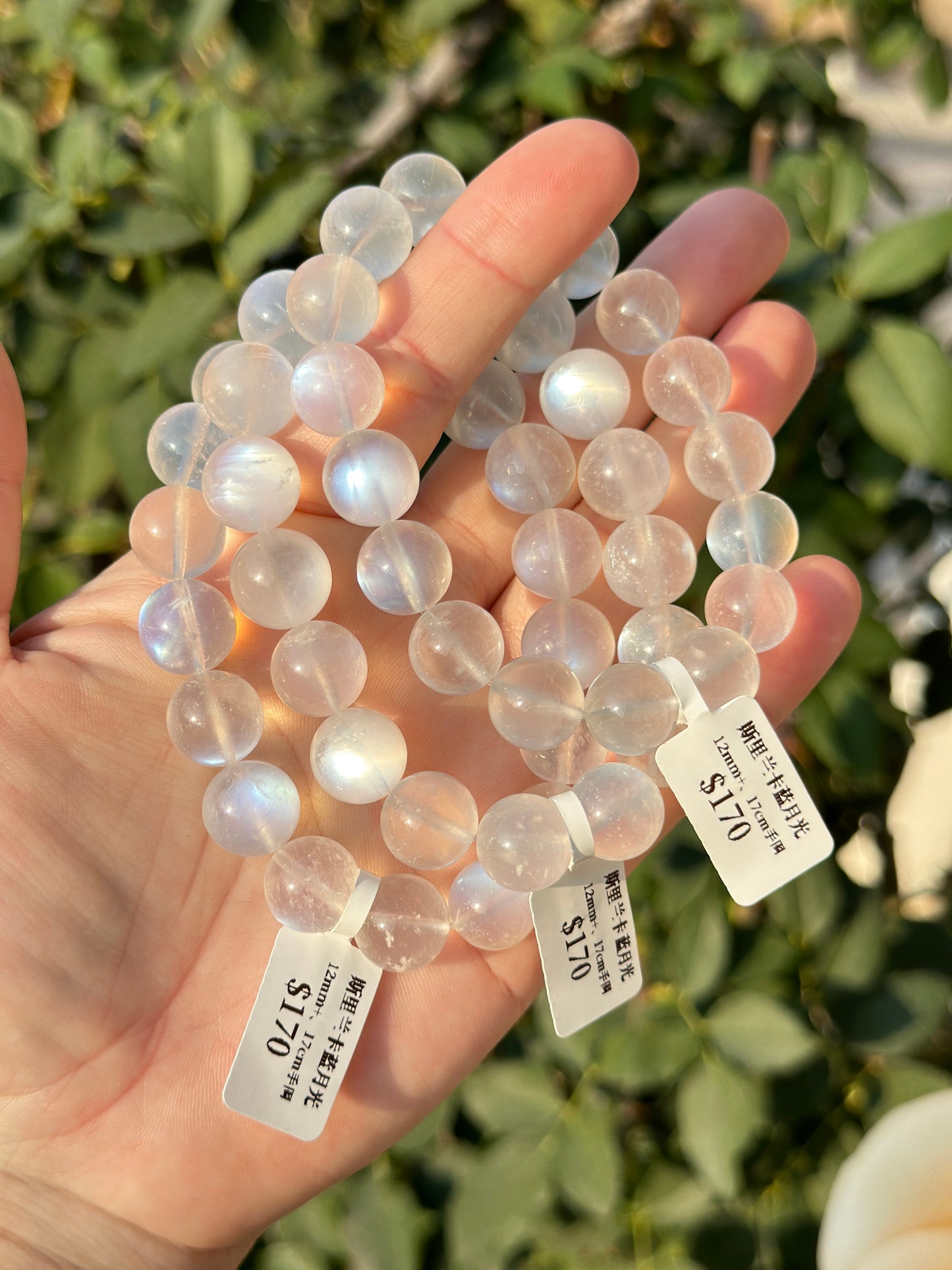 Sri Lankan Blue Moonstone