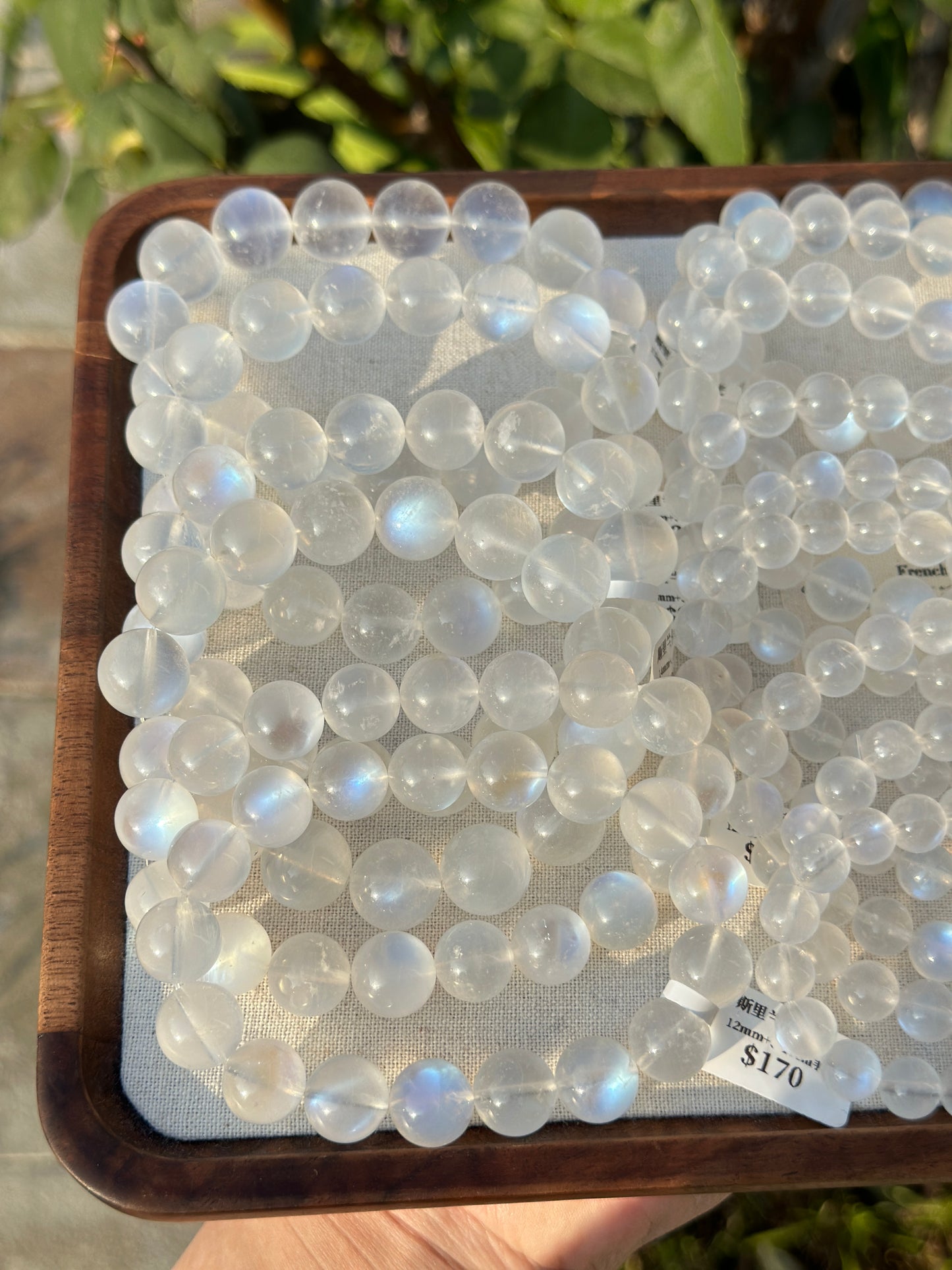 Sri Lankan Blue Moonstone