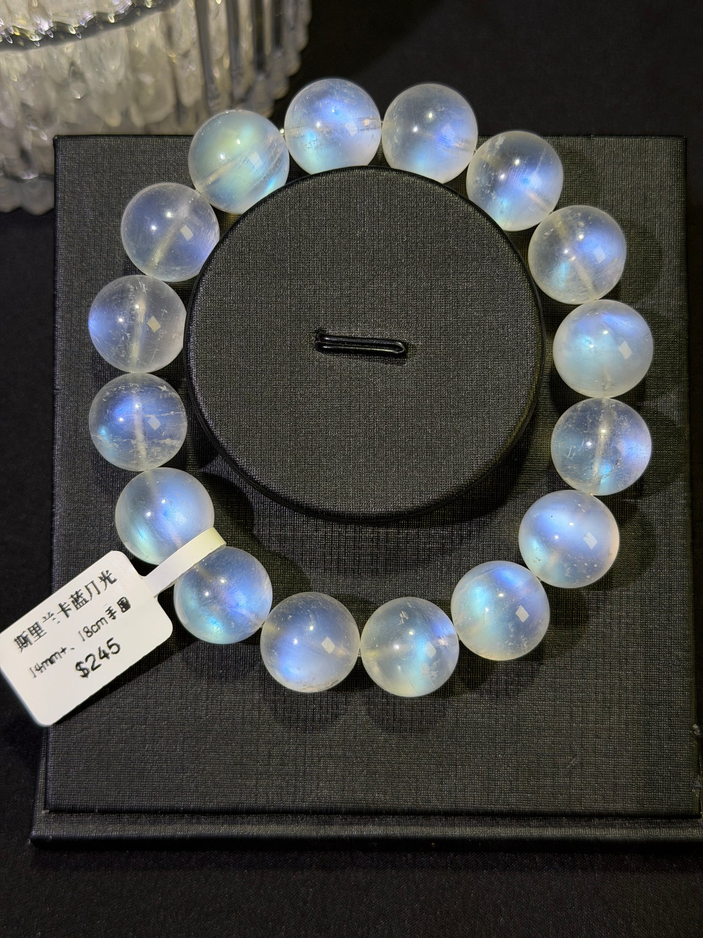 斯里兰卡蓝月光