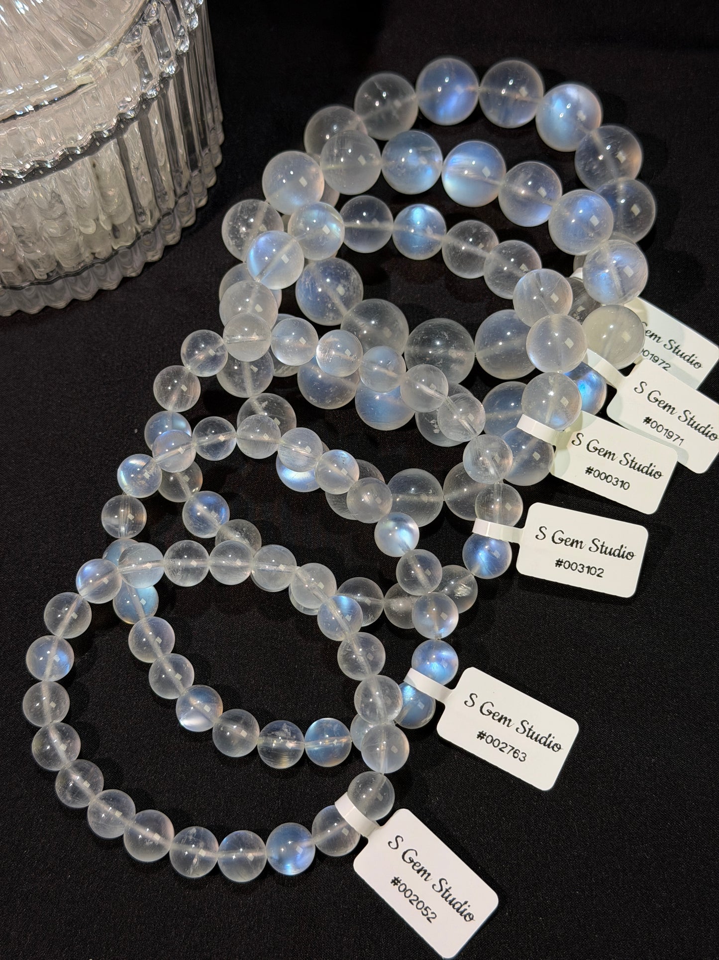 斯里兰卡蓝月光