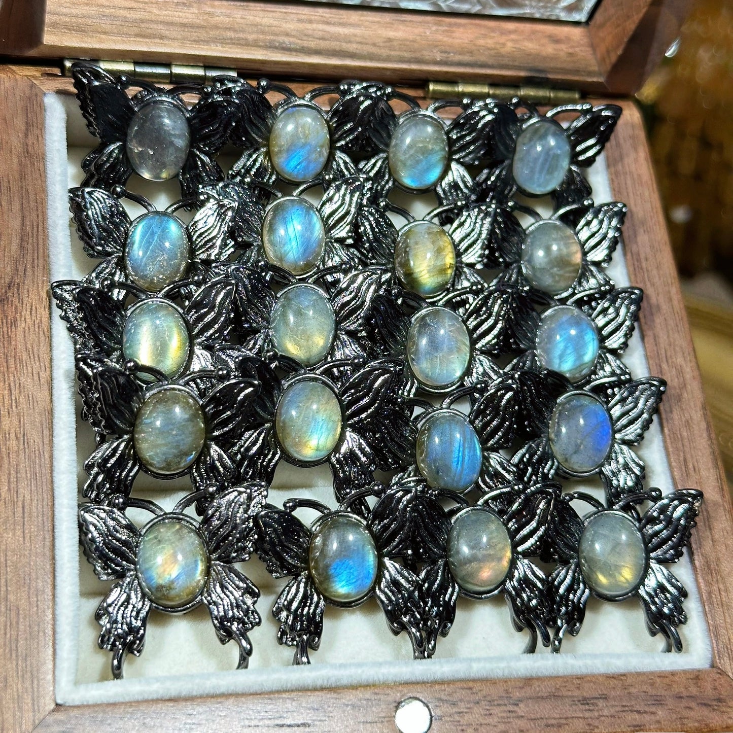 Gray Moonlight Butterfly Magic Box