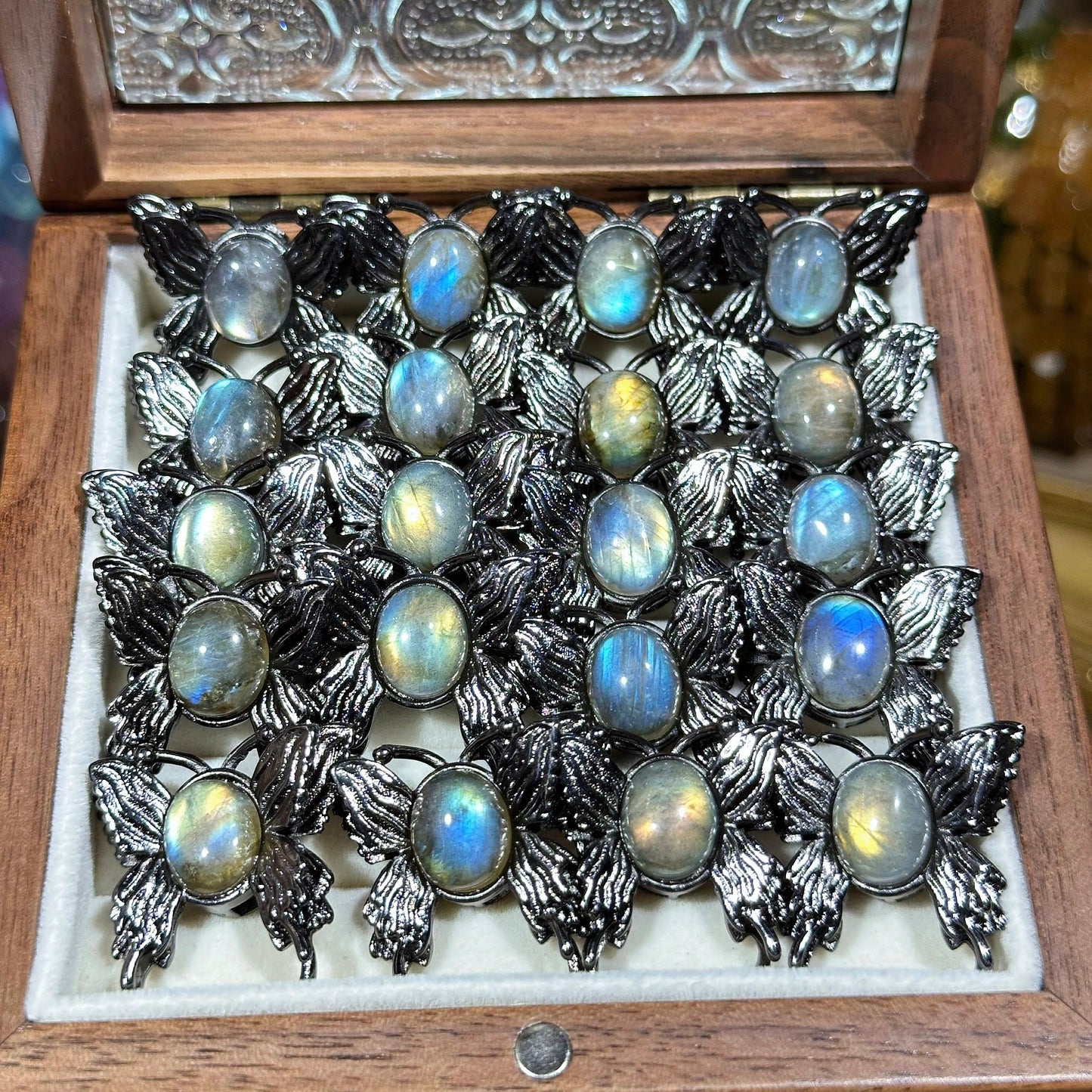 Gray Moonlight Butterfly Magic Box