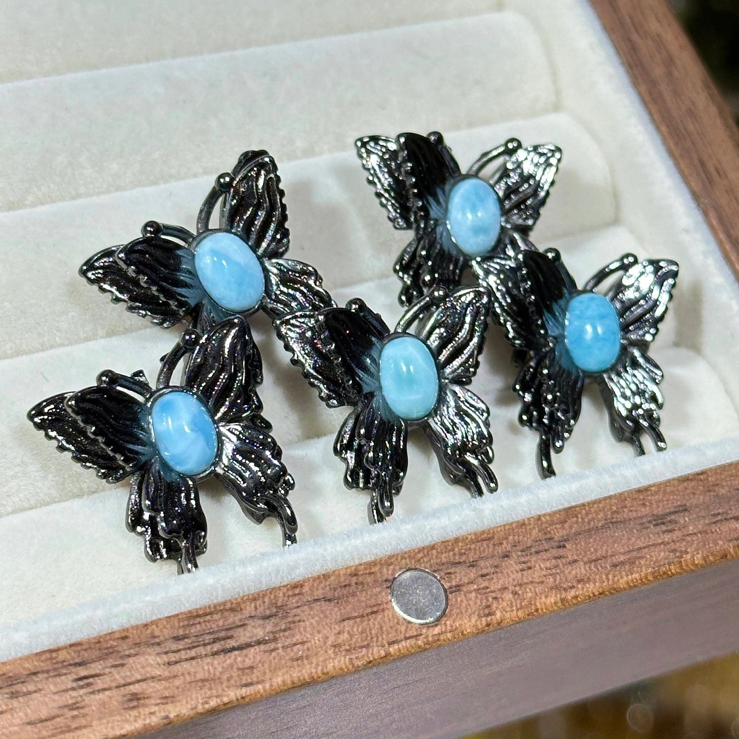 Sea Stone Butterfly Magic Box